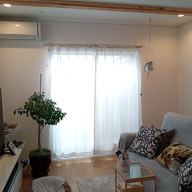 tmmh2023さんの部屋