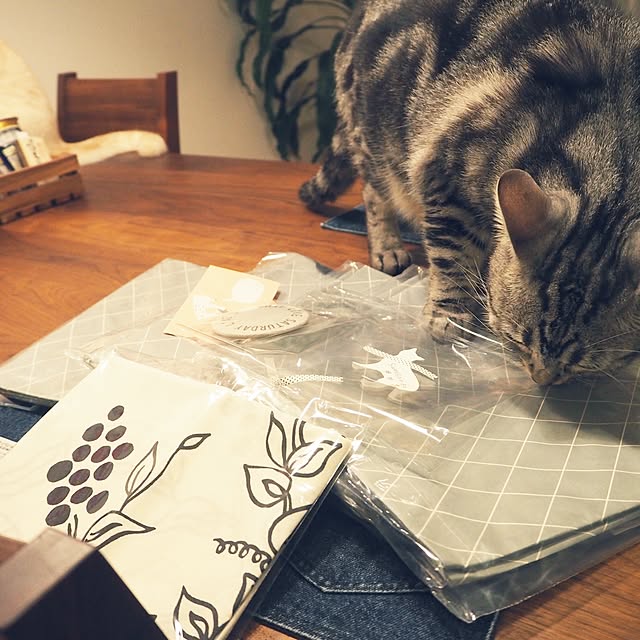 y.k.0123さんの実例写真