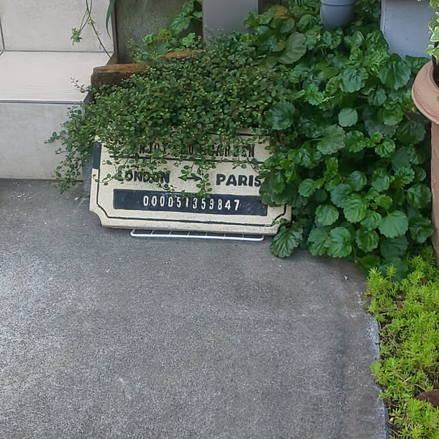 mmpoohさんの実例写真