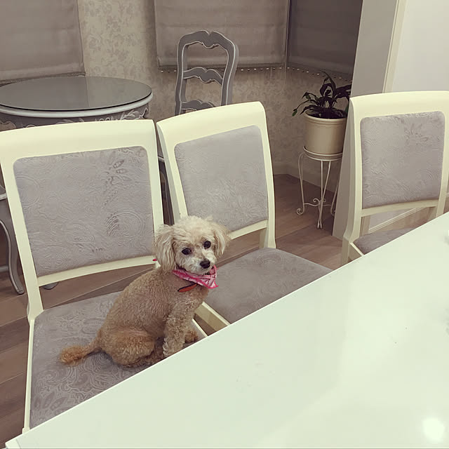 MAKARONさんの実例写真