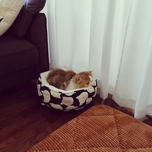 amutantanさんの実例写真