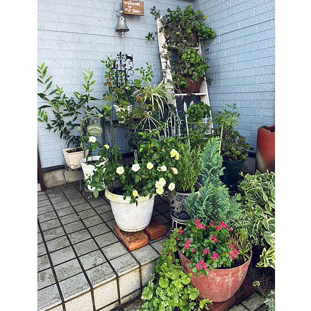 CoCo0617さんの部屋