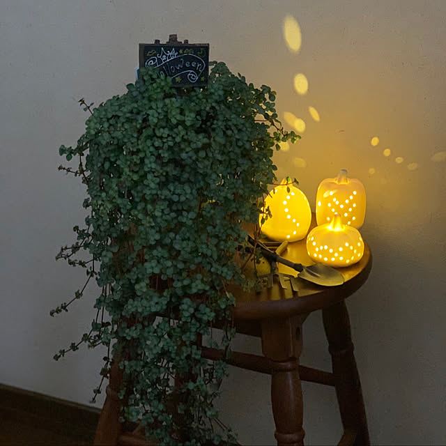 Mikarinさんの実例写真