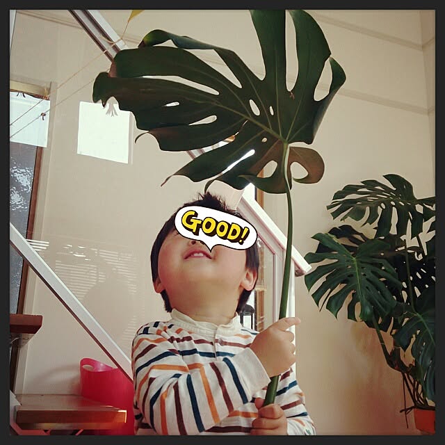 urchinさんの実例写真
