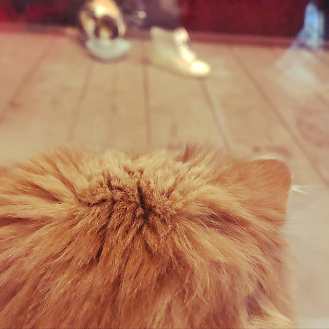 piyolandさんの実例写真