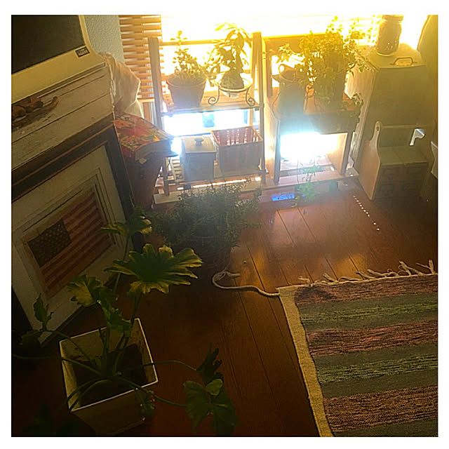 Tomoko.kさんの実例写真