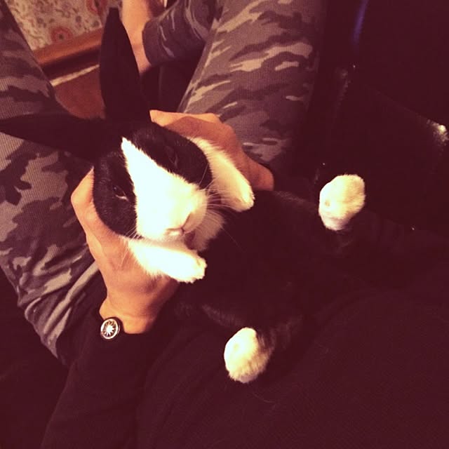 nanachanさんの実例写真