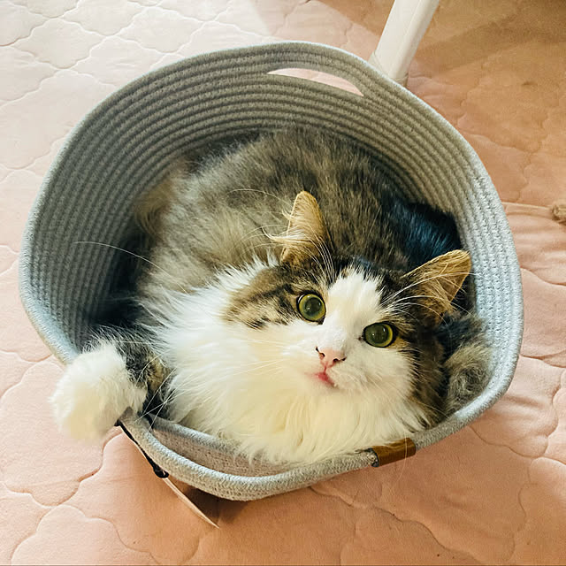 sakura_171220さんの実例写真