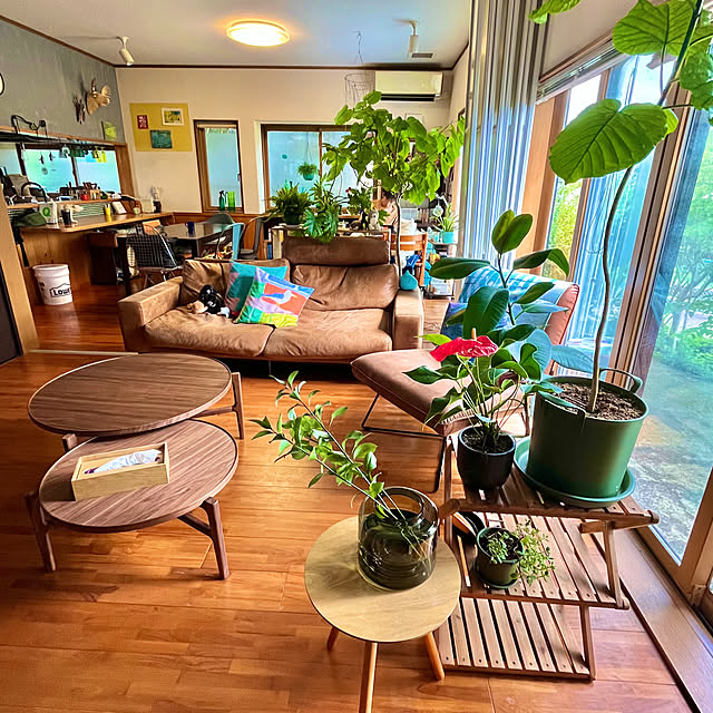 Erikoさんの部屋