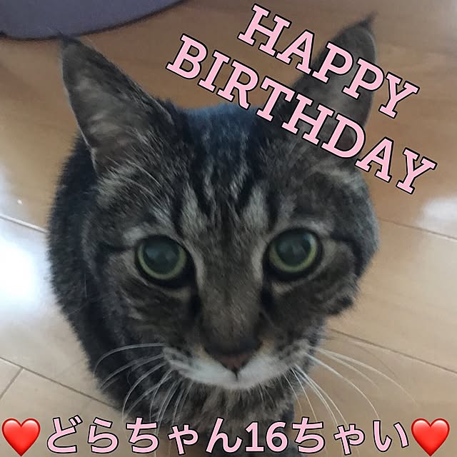 mi-mi-373さんの実例写真