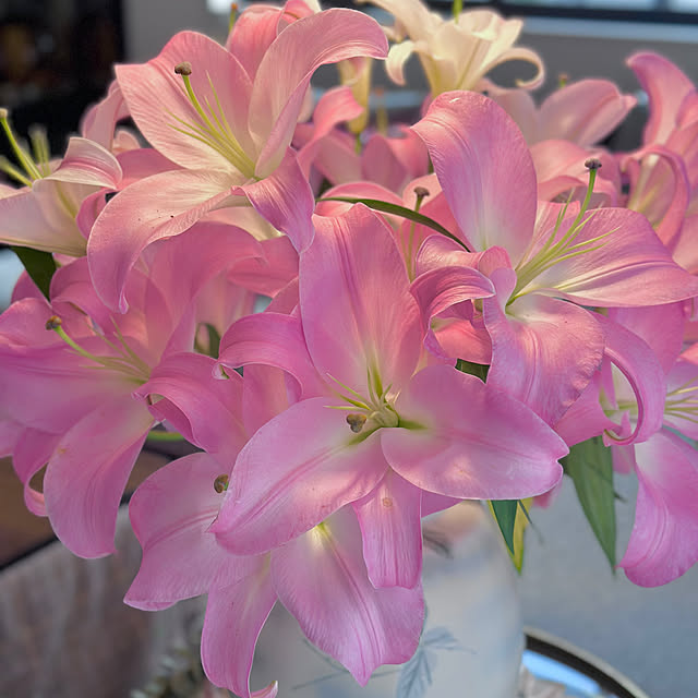 Xiximimiさんの部屋