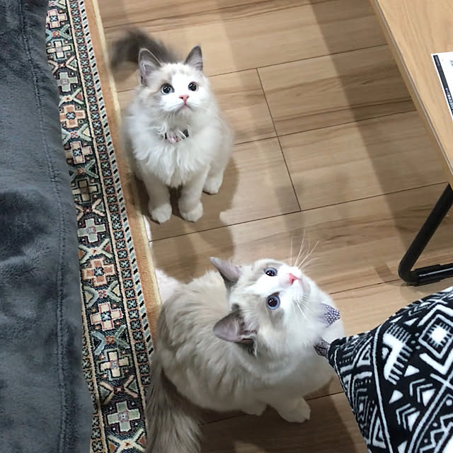 mizukiさんの実例写真