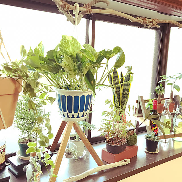 toriさんの実例写真