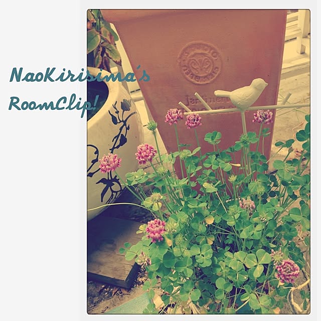 naokirisimaさんの実例写真