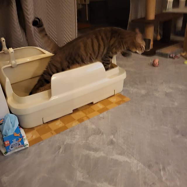 momoさんの部屋