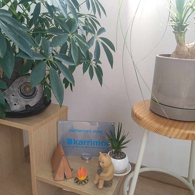 aiさんの実例写真