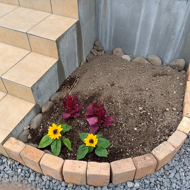 mokukoさんの部屋