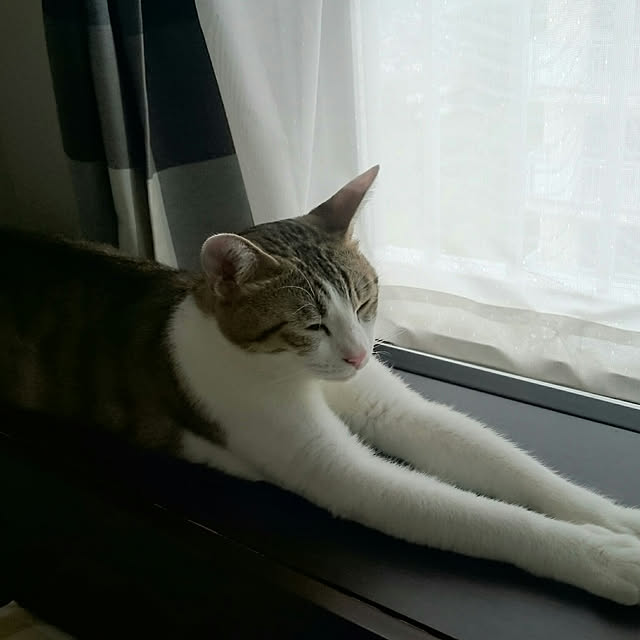 gurikoさんの実例写真
