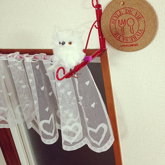 kopinさんの実例写真