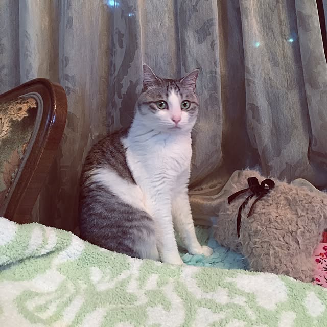 emmyyさんの実例写真