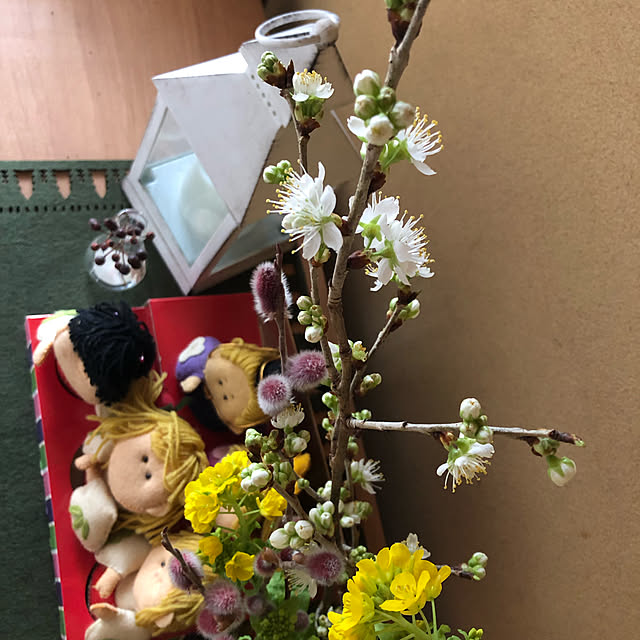 kaeruさんの実例写真