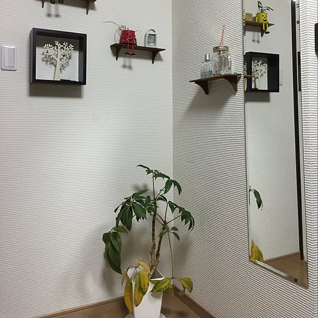 Yoshihisaさんの実例写真