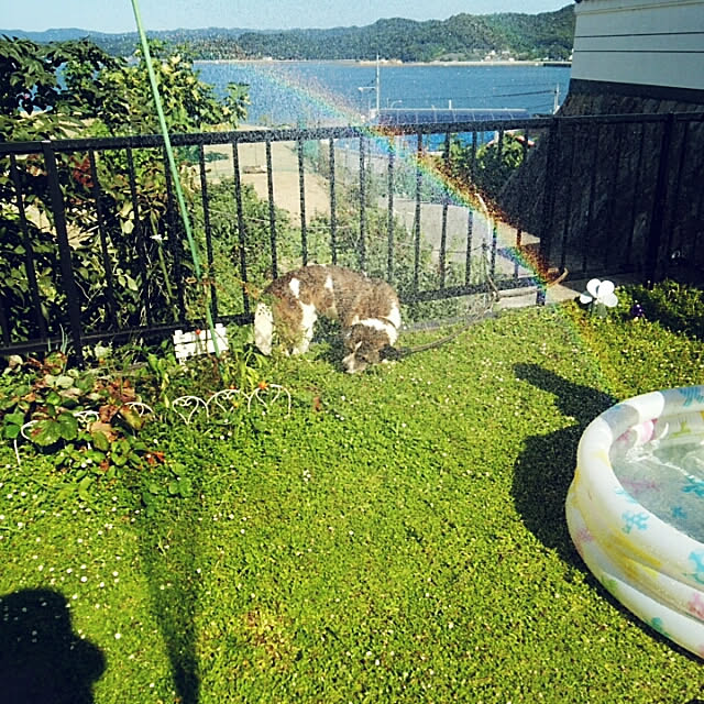 miiさんの実例写真