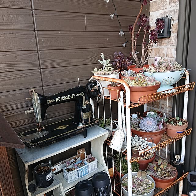 tikuwaさんの部屋