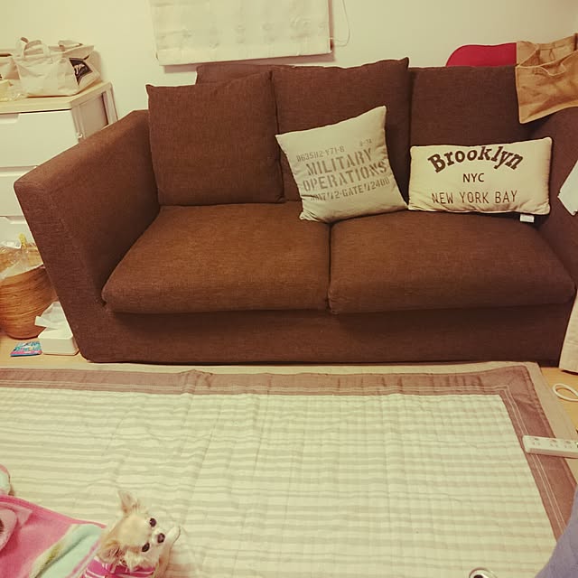 Norikoさんの実例写真