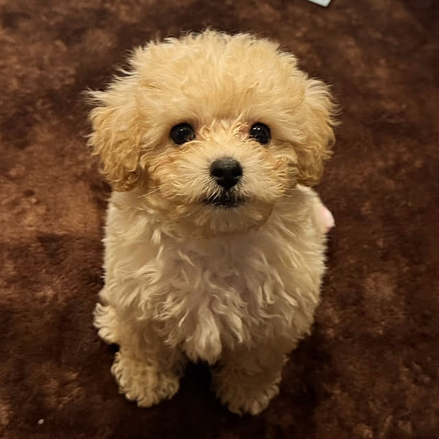 104handsさんの部屋