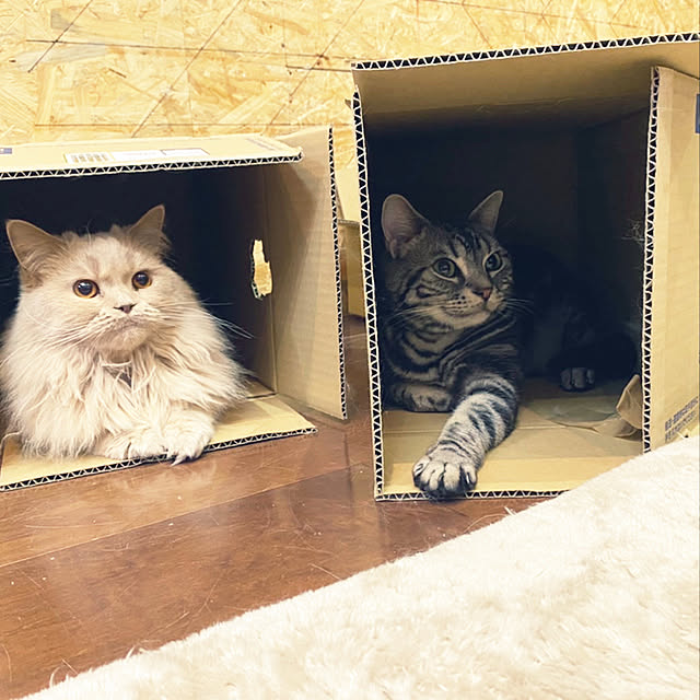 r.t.mamaさんの実例写真
