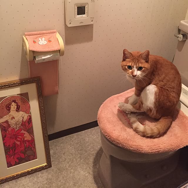 lavie0125さんの実例写真