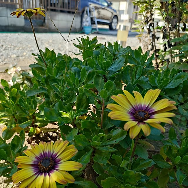 NOAHさんの実例写真