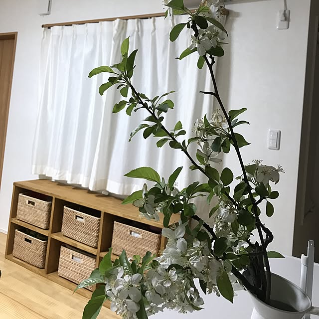 実例写真
