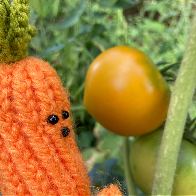 manduonmaさんの実例写真