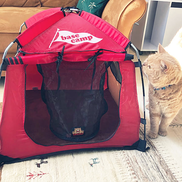 cocoさんの実例写真