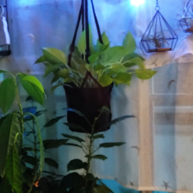 runaさんの部屋