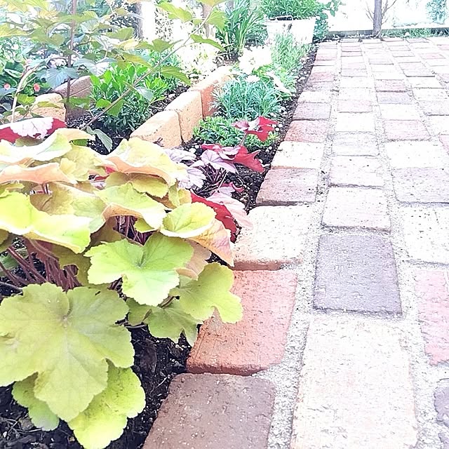 suuさんの実例写真