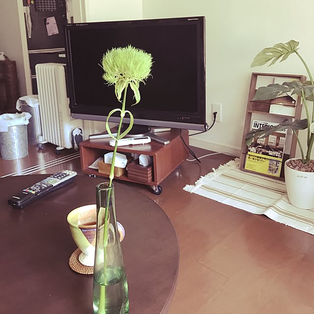 amoさんの実例写真