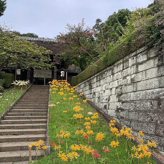 hiyupan88さんの部屋