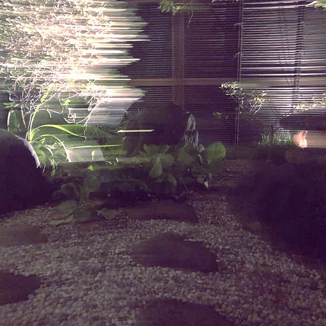 chacoさんの実例写真