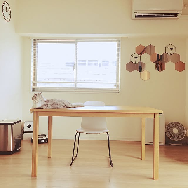 k.h_plusさんの実例写真