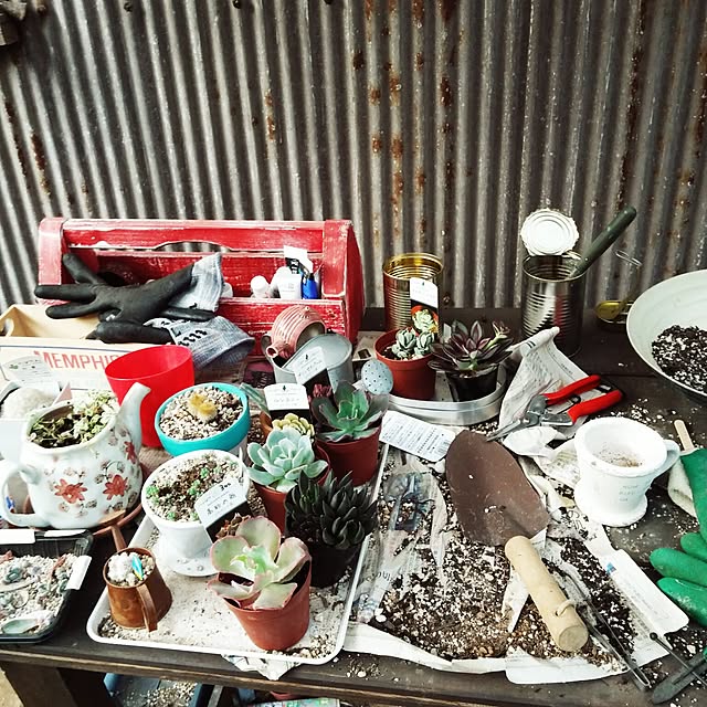 Rapgreenさんの実例写真