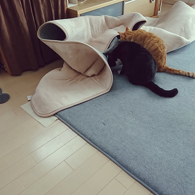 koromaroさんの実例写真