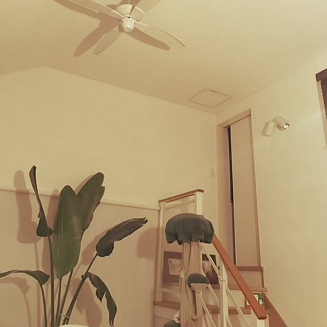 CHIEさんの実例写真