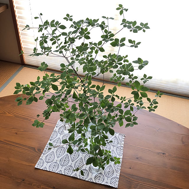 yukkoさんの部屋