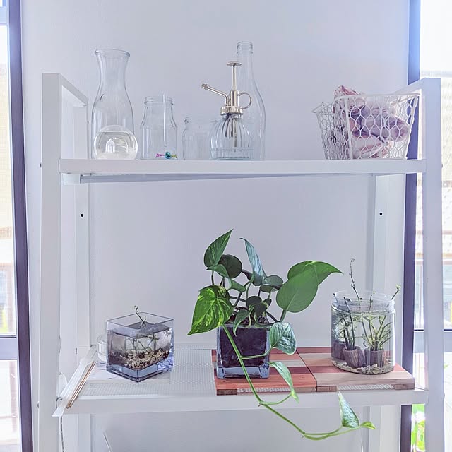 mi-saさんの部屋