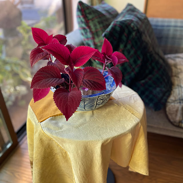 buchiさんの部屋