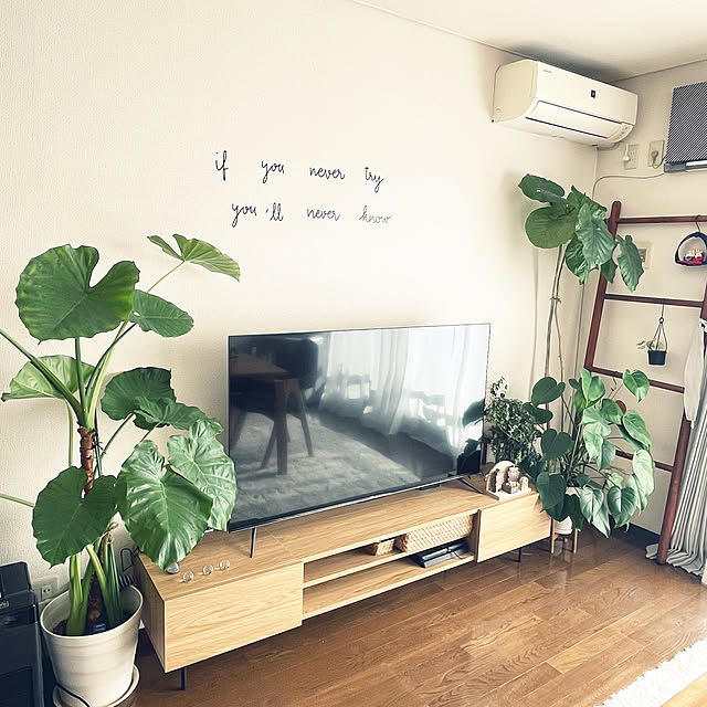 riseruさんの部屋