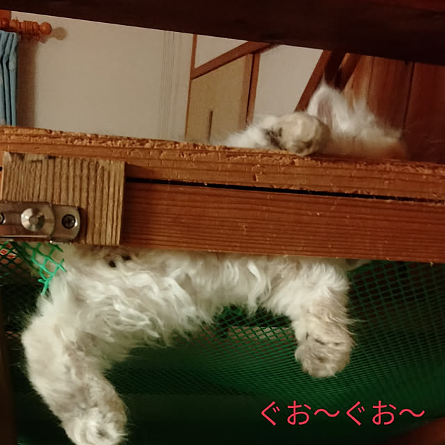 makaronさんの実例写真